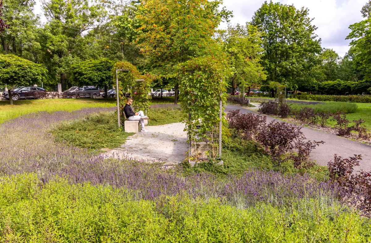 Zdjęcie: Drzewa, łąki i mały park. Wybrano 123 projektów Zielonego Budżetu