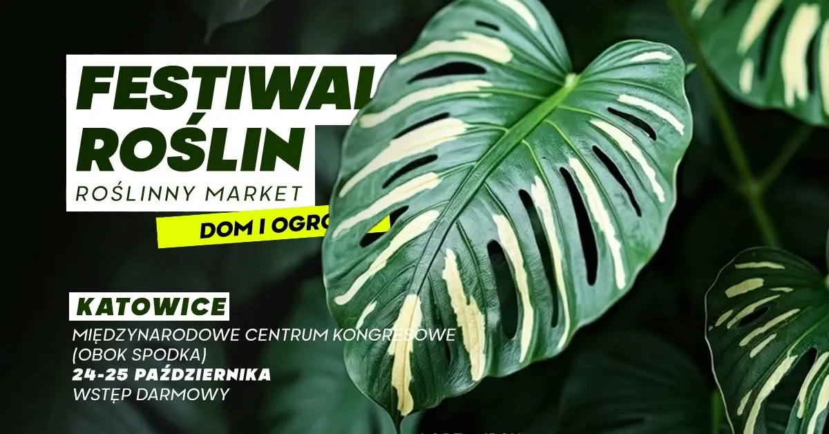 Zdjęcie: Rośliny, doniczki i okazy kolekcjonerskie. W MCK rozpoczyna się Festiwal Roślin
