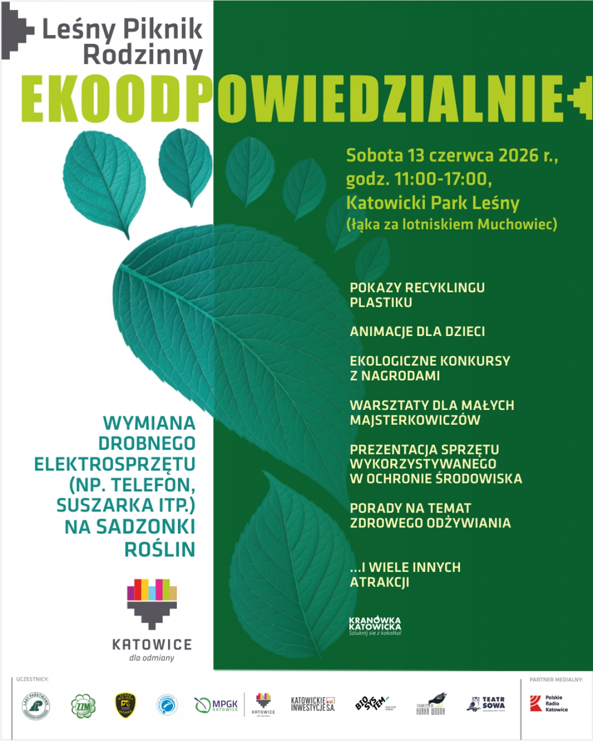 Zdjęcie 2: Ekologia zamiast nudy. Muchowiec zamieni się w wielką zieloną klasę pod chmurką