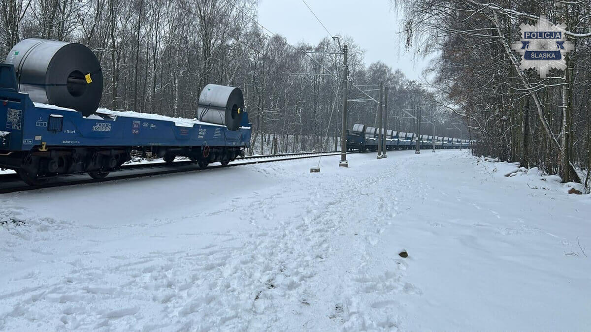 Zdjęcie 2: Doszło do wykolejenia pociągu towarowego na Muchowcu