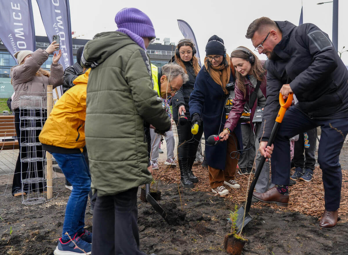 Zdjęcie 3: To nie jest Prima Aprilis! Katowice posadziły las przy Rynku