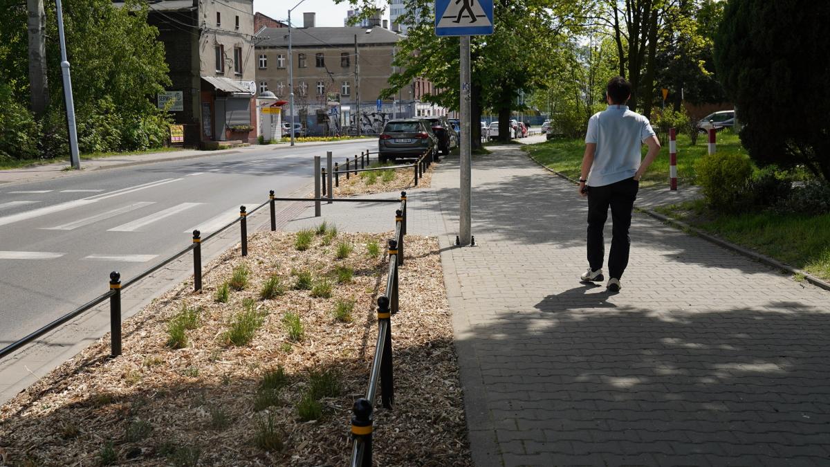 Zdjęcie 1: Katowice rozbierają beton. Trawniki zamiast miejsc parkingowych