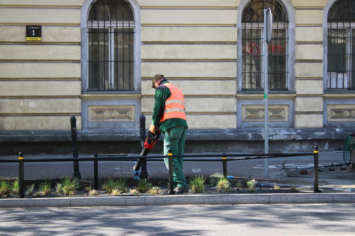 Zdjęcie 2: Katowice rozbierają beton. Trawniki zamiast miejsc parkingowych