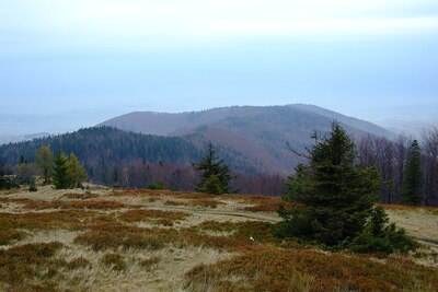Szyndzielnia, Klimczok i Błatnia